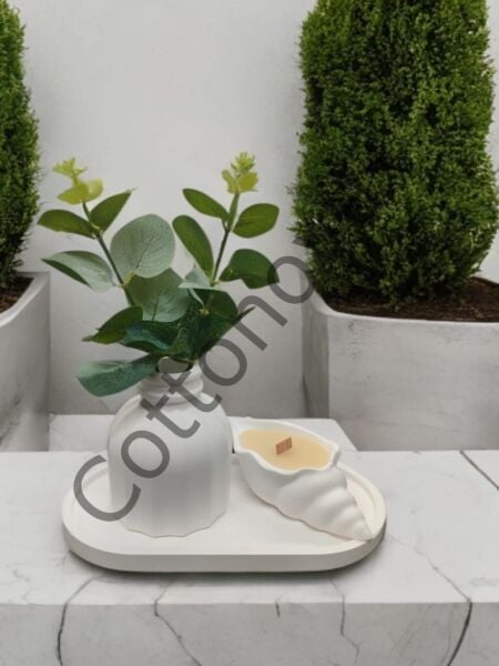 Cottonova C59 Dekoratif Deniz Kabuğu Figürü Mumluk ve Vazo