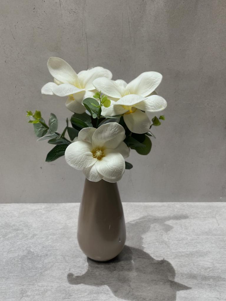 Cottonova CB15 Konik Bej Vazo