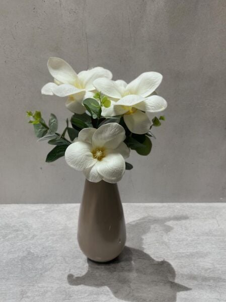 Cottonova CB15 Konik Bej Vazo