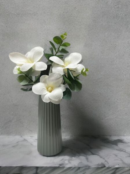 Cottonova CB23 Çizgili Zeytin Vazo